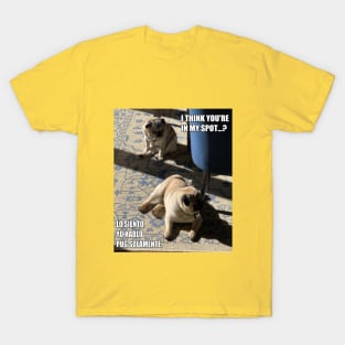 Pugs in the Sun T-Shirt